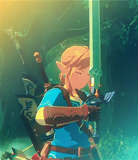 zelda botw gif